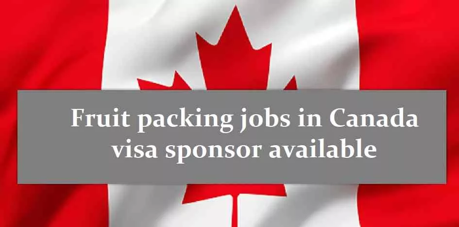 Fruit Packing Jobs In Canad